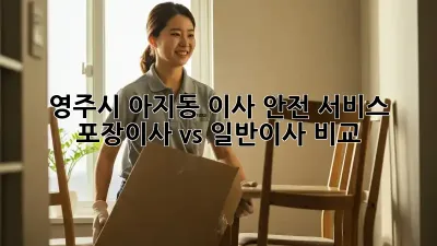 영주시 아지동 이사 안전 서비스: 포장이사 vs 일반이사 비교